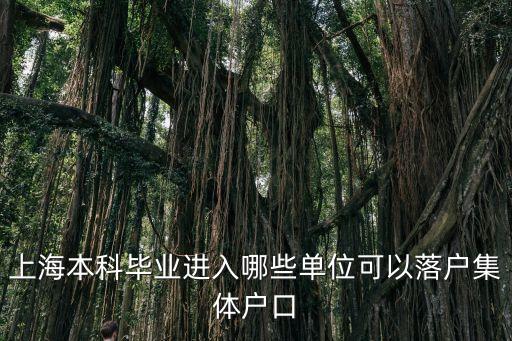 上海本科畢業進入哪些單位可以落戶集體戶口
