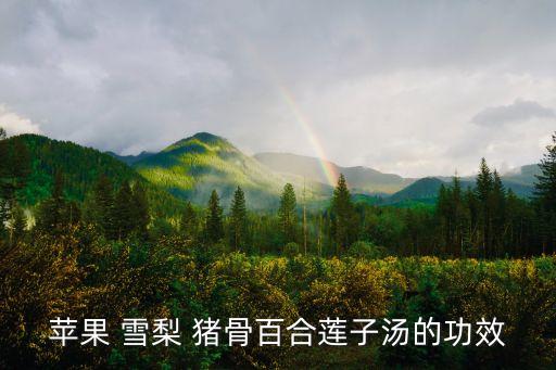 雪梨豬骨湯,雪梨排骨湯怎么做?