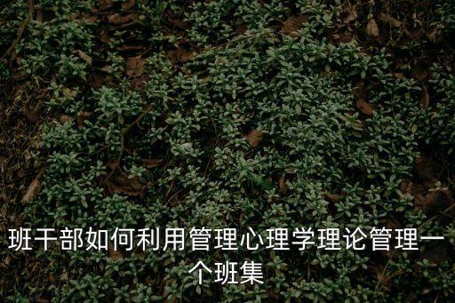 生活組小組,我競選班級管理職務分享經驗