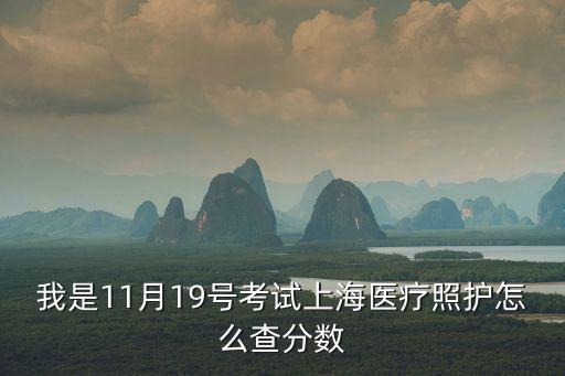 我是11月19號考試上海醫療照護怎么查分數