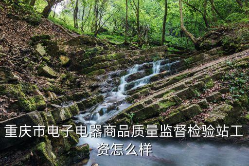 重慶市電子電器商品質量監督檢驗站工資怎么樣