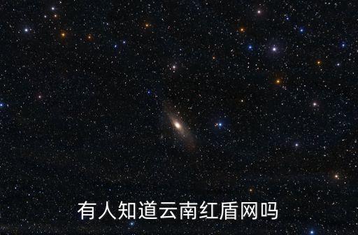 云南紅盾網(wǎng)企業(yè)查詢系統(tǒng)，有人知道云南紅盾網(wǎng)嗎