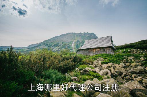上海哪里好代理公司注冊