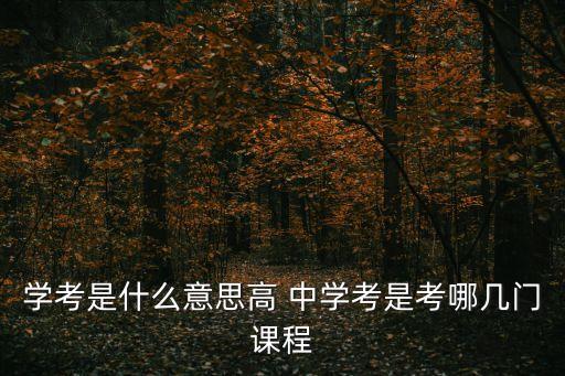 學考是什么意思高 中學考是考哪幾門課程