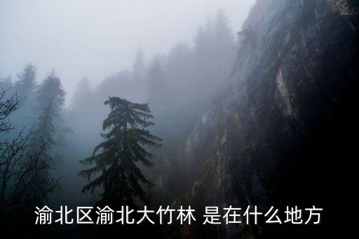 重慶市渝北區大竹林歷史，重慶市渝北區大竹林街道有哪些地方