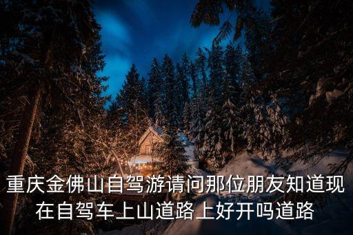 重慶金佛山自駕游請問那位朋友知道現在自駕車上山道路上好開嗎道路