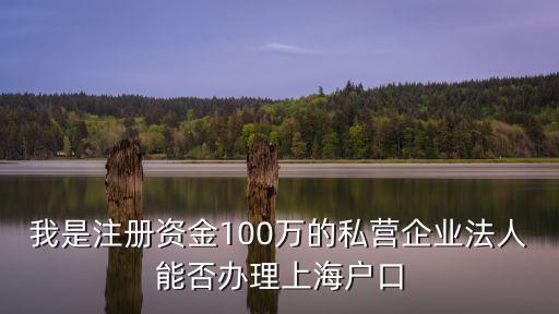 我是注冊資金100萬的私營企業法人能否辦理上海戶口