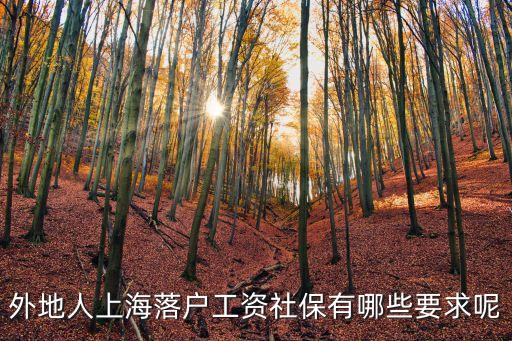 外地人上海落戶工資社保有哪些要求呢