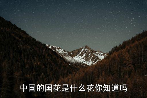 中國的國花是什么花，中國國花是什么花