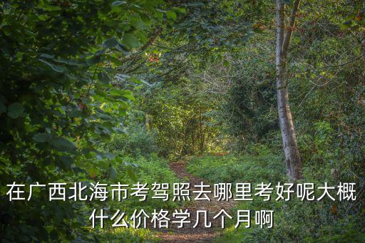 在廣西北海市考駕照去哪里考好呢大概什么價格學幾個月啊