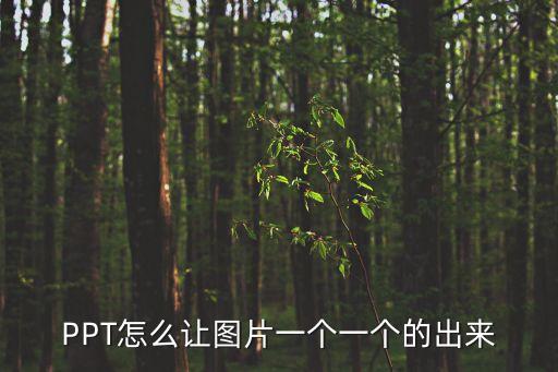 PPT怎么讓圖片一個一個的出來