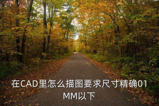 在CAD里怎么描圖要求尺寸精確01MM以下