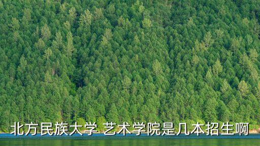 北方民族大學(xué) 藝術(shù)學(xué)院是幾本招生啊
