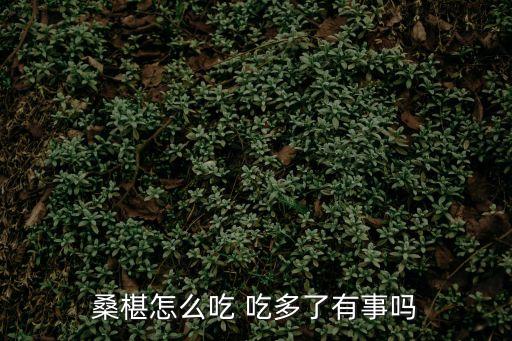 桑葚吃多了會怎么樣，桑椹怎么吃 吃多了有事嗎