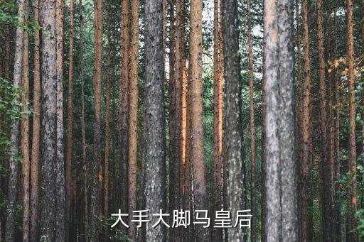 大腳馬皇后，大手大腳馬皇后是什么