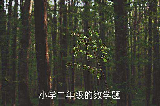 二年級(jí)上冊(cè)數(shù)學(xué)題，小學(xué)二年級(jí)數(shù)學(xué)題