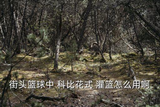 街頭籃球中 科比花式 灌籃怎么用啊`