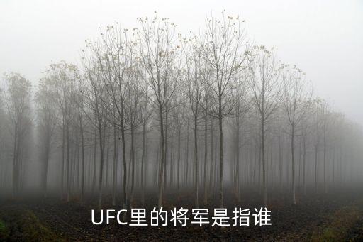 將軍英文，將會的英語單詞