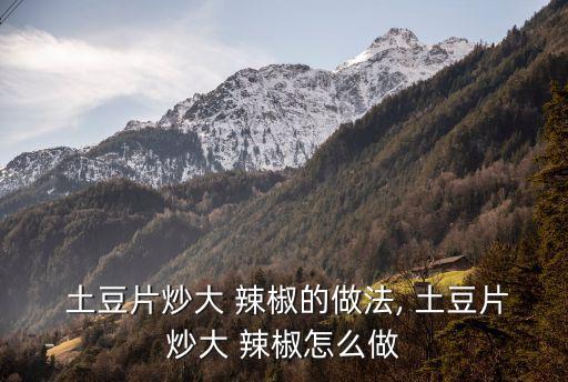  土豆片炒大 辣椒的做法, 土豆片炒大 辣椒怎么做