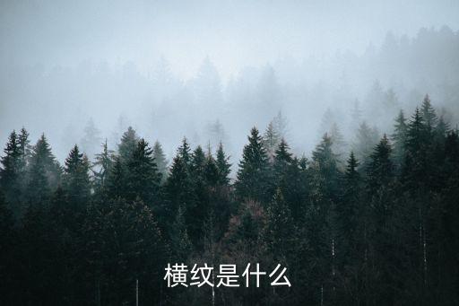 橫紋是什么