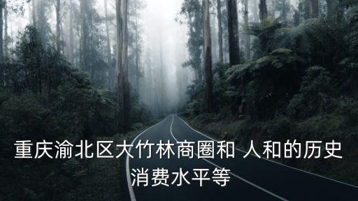 重慶渝北區大竹林商圈和 人和的歷史 消費水平等