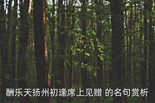 酬樂天揚州初逢席上見贈 的名句賞析