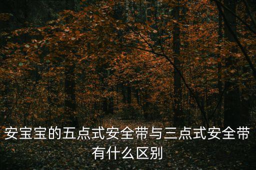 安寶寶的五點式安全帶與三點式安全帶有什么區別
