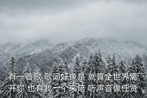 有一首歌 歌詞好像是 就算全世界離開你 也有我一個來陪 聽聲音像任賢