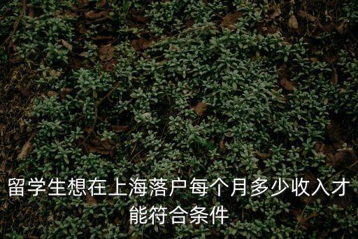 留學生想在上海落戶每個月多少收入才能符合條件