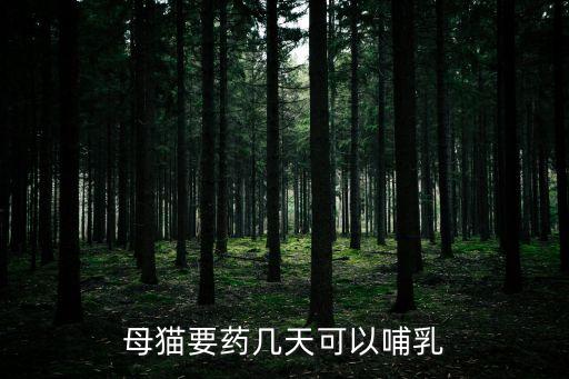 哺乳期可以吃藥嗎,哺乳期母貓可喂什么貓糧?