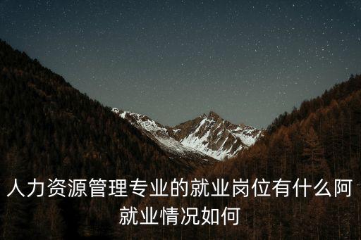 人力資源管理專(zhuān)業(yè)的就業(yè)崗位有什么阿就業(yè)情況如何