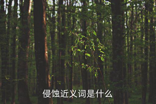 侵蝕近義詞是什么