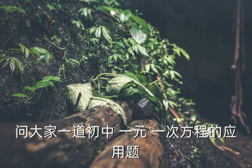 問大家一道初中 一元 一次方程的應用題