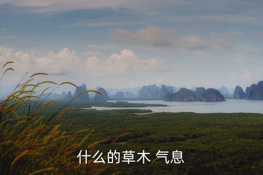 什么的氣息,植物與人的氣息息息相關(guān)