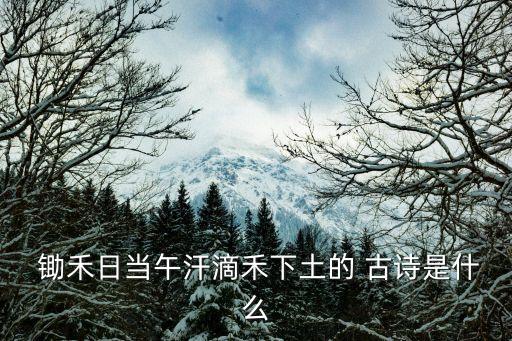 鋤禾的古詩(shī),第二集:從早到晚都是烈日炎炎