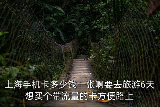 上海手機卡多少錢一張啊要去旅游6天想買個帶流量的卡方便路上