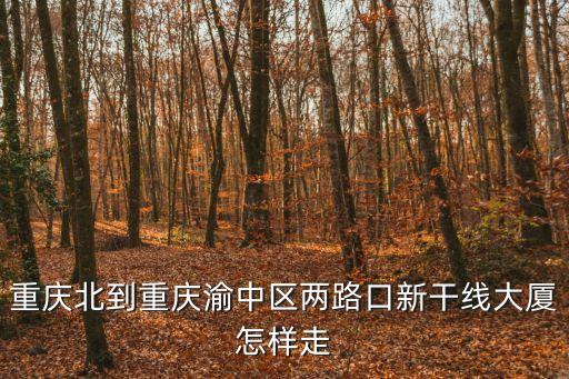 重慶北到重慶渝中區兩路口新干線大廈怎樣走