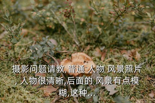 攝影問題請教,普通 人物 風景照片, 人物很清晰,后面的 風景有點模糊,這種...