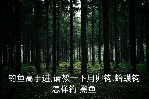 怎樣釣黑魚,釣魚黑魚要選對線釣魚竿要選好!