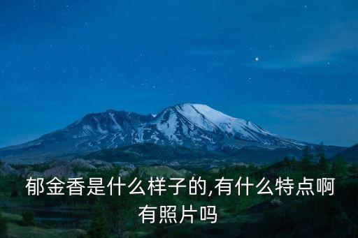  郁金香是什么樣子的,有什么特點(diǎn)啊有照片嗎