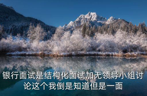 銀行面試是結構化面試加無領導小組討論這個我倒是知道但是一面