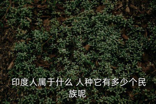 印度屬于什么人種,從印度到東南亞五大民族