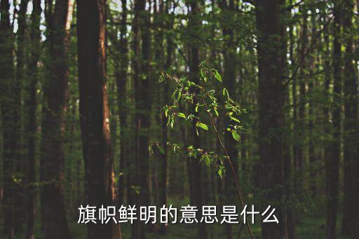 旗幟鮮明的意思是什么