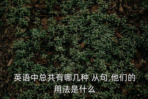  英語中總共有哪幾種 從句,他們的 用法是什么