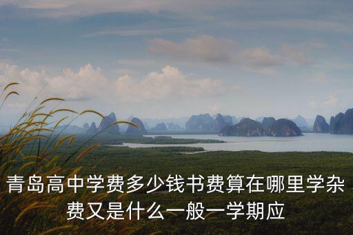 青島高中學費多少錢書費算在哪里學雜費又是什么一般一學期應