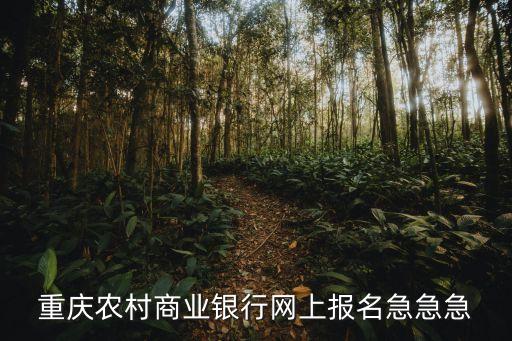 重慶農村商業銀行網上報名急急急