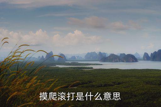 摸爬滾打是什么意思