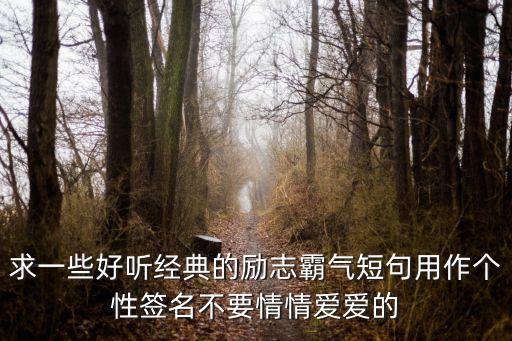 求一些好聽經典的勵志霸氣短句用作個性簽名不要情情愛愛的