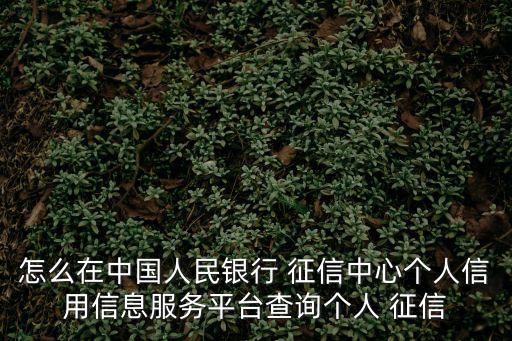 怎么在中國人民銀行 征信中心個人信用信息服務平臺查詢個人 征信