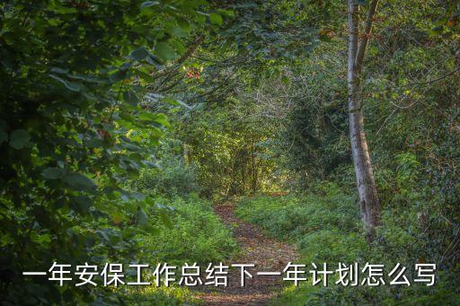 一年安保工作總結下一年計劃怎么寫